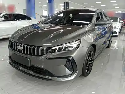 Geely Binrui 2024