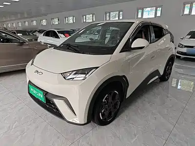 BYD Seagull 2025