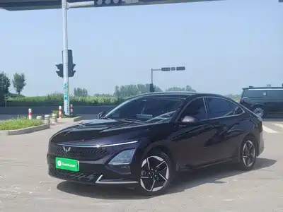 Wuling Motors Xingguang 2025