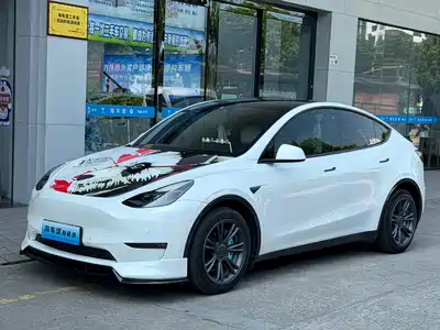 Tesla Model Y 2021
