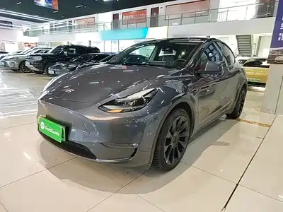 Tesla Model Y 2021