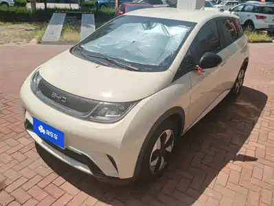 BYD Dolphin 2025