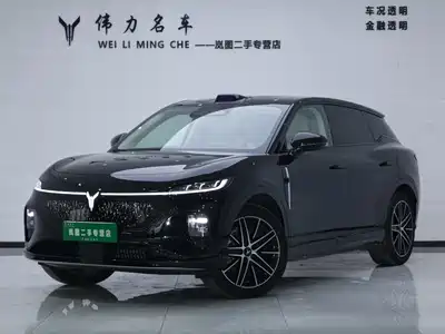 Voyah Auto Zhiyin 2025