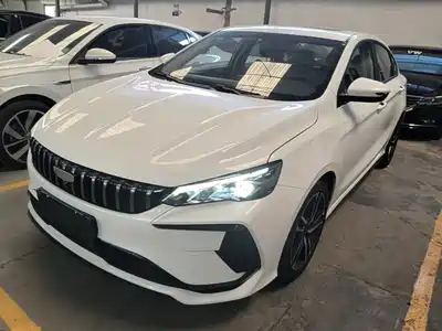 Geely Binrui 2024