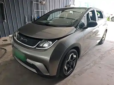 BYD Dolphin 2023