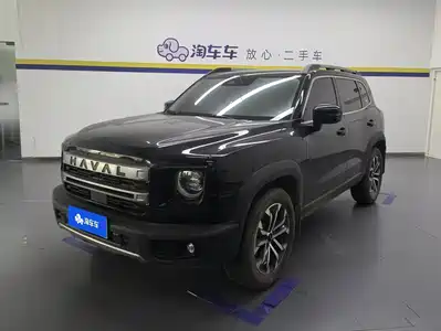 Haval Big Dog 2024