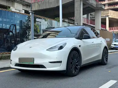 Tesla Model Y 2024