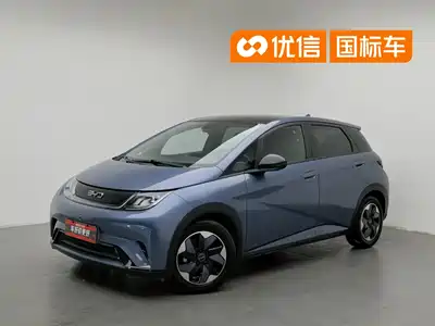 BYD Dolphin 2024