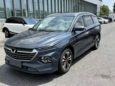 Wuling Motors Victory 2022