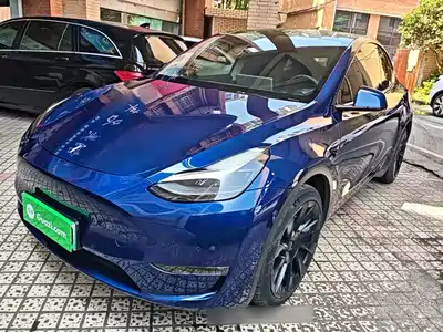 Tesla Model Y 2021