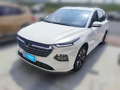 Wuling Motors Victory 2021