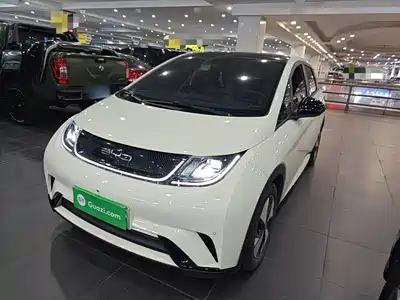 BYD Dolphin 2023