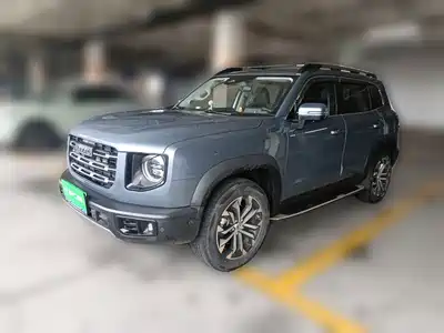 Haval Big Dog 2021