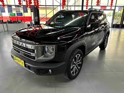 Haval Big Dog 2024