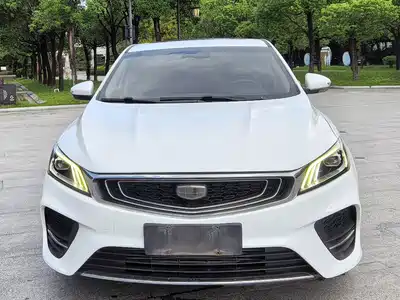 Geely Binrui 2019