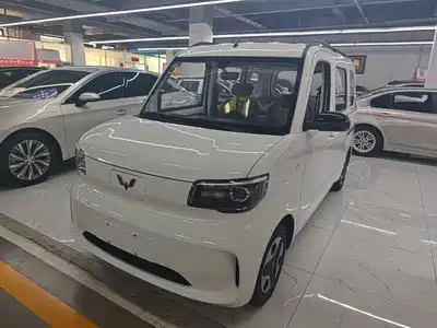 Wuling Motors Zhiguang NEV 2026