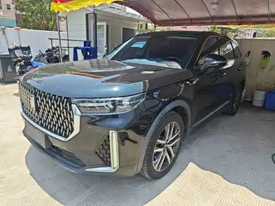 Besturn T99 2020