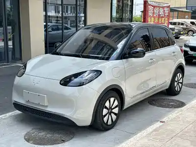 Wuling Motors Bingo 2024