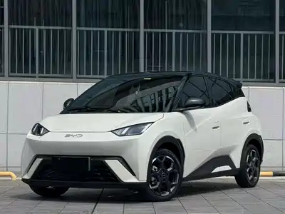 BYD Seagull 2024