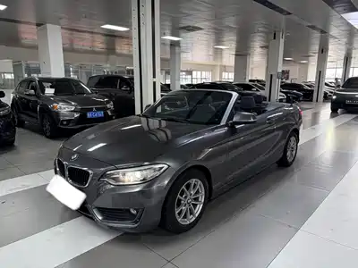 BMW 2 Series (Import) 2016