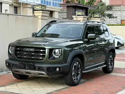 Haval Big Dog 2021
