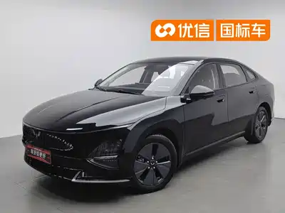 Wuling Motors Xingguang 2024