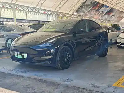 Tesla Model Y 2021