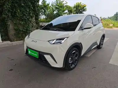 BYD Seagull 2025