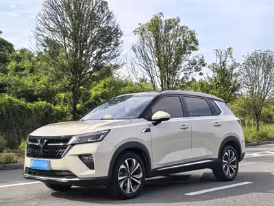 Wuling Motors Xingchen 2024