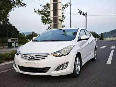 Hyundai Langdong 2013