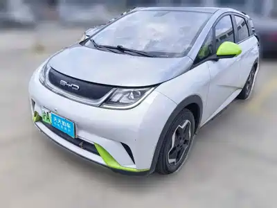 BYD Dolphin 2021