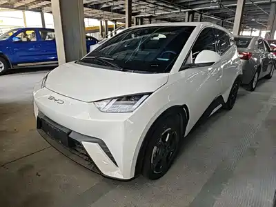 BYD Seagull 2024
