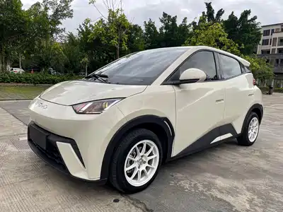 BYD Seagull 2024