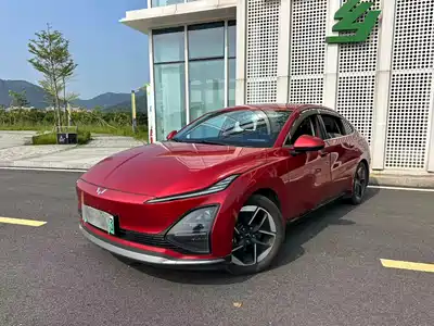 Wuling Motors Xingguang 2024