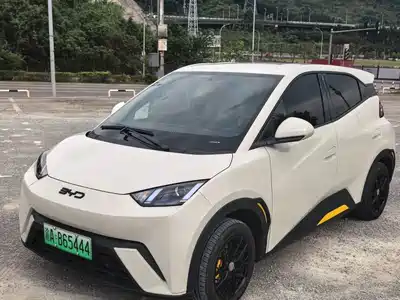 BYD Seagull 2025