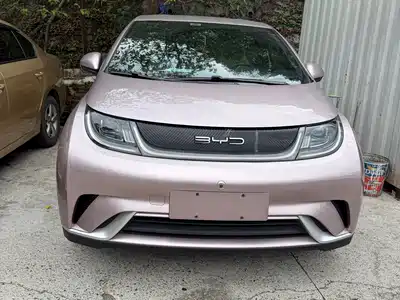 BYD Dolphin 2023
