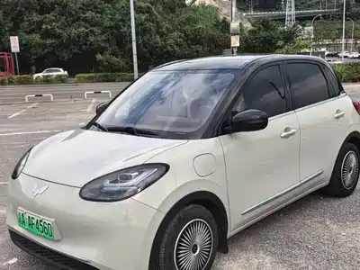 Wuling Motors Bingo 2024