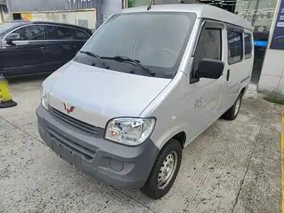 Wuling Motors Zhiguang 2024