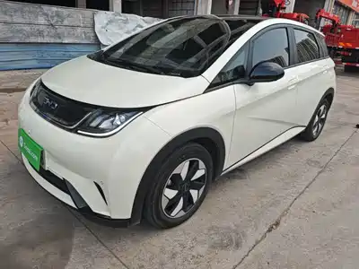 BYD Dolphin 2025