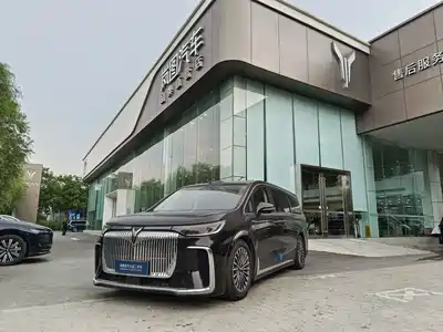 Voyah Auto Dreamer 2025