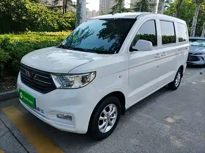 Wuling Motors Hongguang V 2024