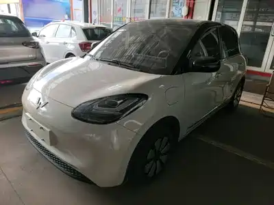Wuling Motors Bingo 2024