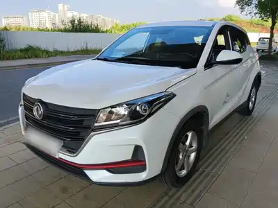 Dongfeng Fengguang Fengon 500 2021