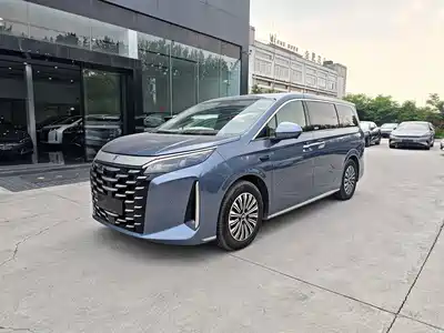 BYD Xia 2025