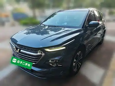 Wuling Motors Victory 2021