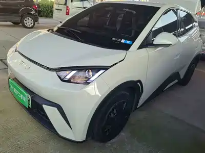 BYD Seagull 2024
