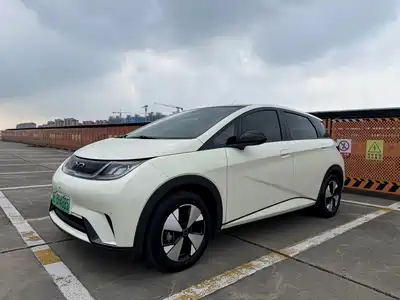 BYD Dolphin 2024