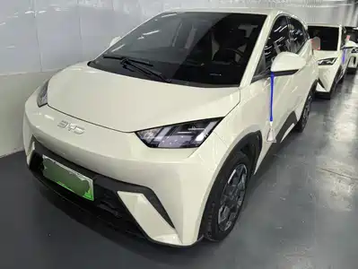 BYD Seagull 2024