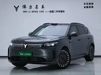 Voyah Auto FREE 2025