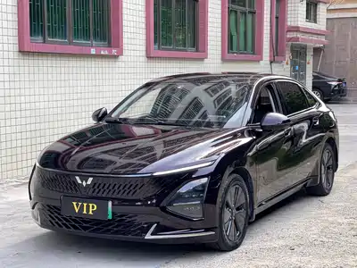 Wuling Motors Xingguang 2024